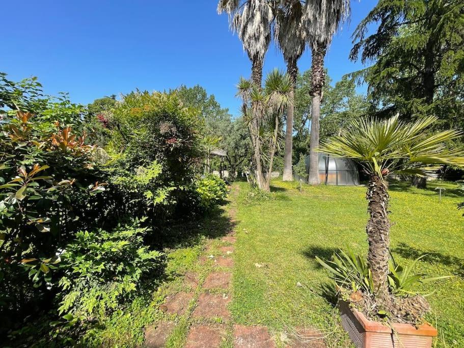 Villa La Dolce - A Tropical Garden In Rom